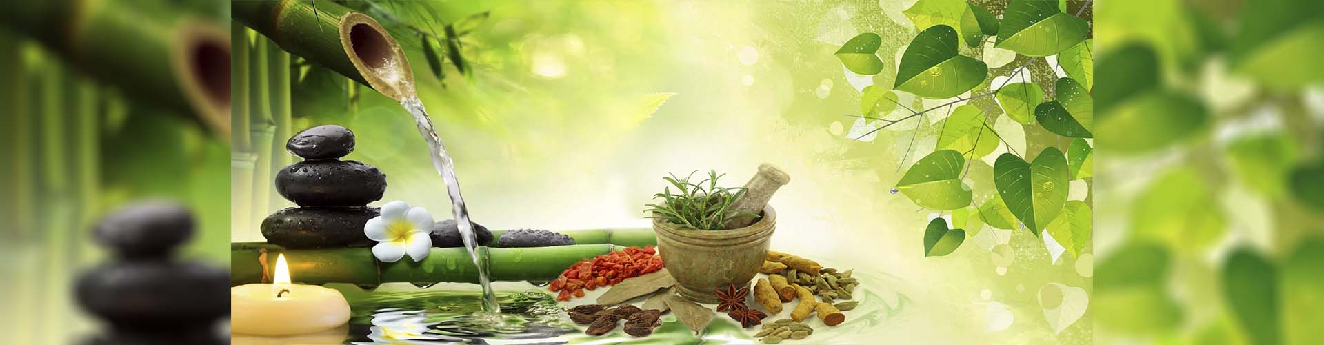 Niramaya Ayurvedic Wellness Centre – Dr. Geethanjali BAMS,Regd Herbalist (RH)