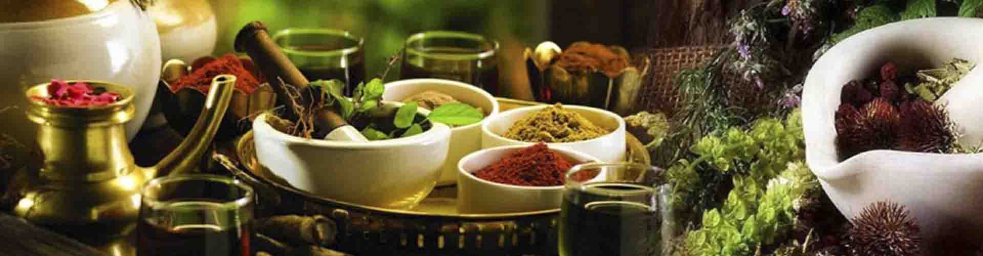 SANTHIGRAM KERALA AYURVEDA – Ayurvedic Wellness Center